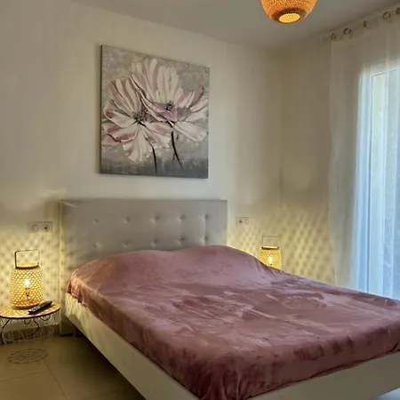 T3 Saint Florent Bord De Vue Piscine Privee نيورْ