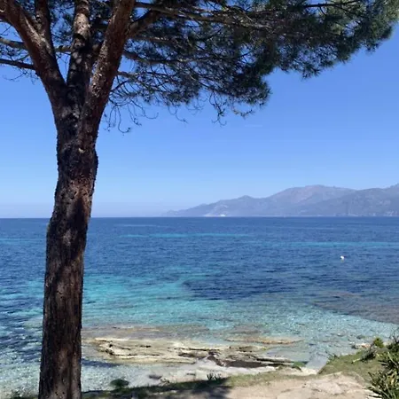 T3 Saint Florent Bord De Vue Piscine Privee نيورْ